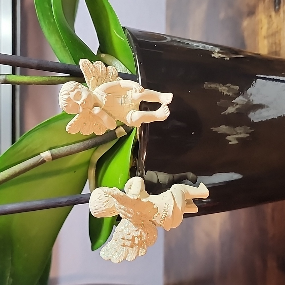 Angelstar Hanging Pot Sitters